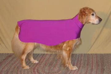 Show Down dog custom made apparel Bella in a sporting coats