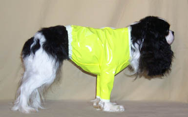 Show Down dog custom made apparel Dylan in a pee coat 
