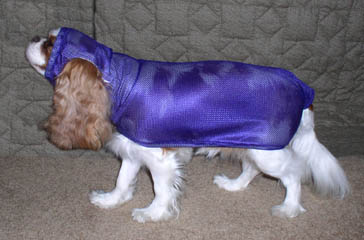Show Down dog custom made apparel Tori in a bath coat drying coat